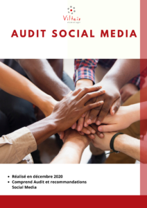 Audit Social Média_Aménagerie_Viltaïs_Décembre_2020
